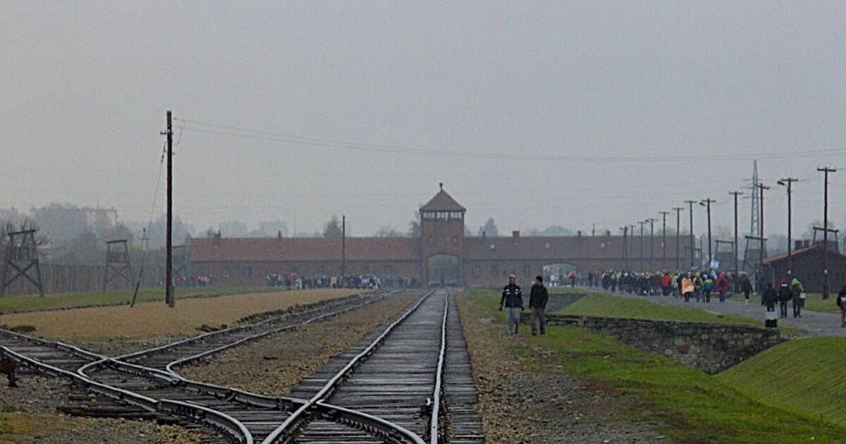Lernen aus der Geschichte: Studienfahrten nach Auschwitz: Erinnern für die ...
