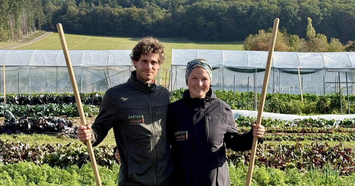 Bio-Anbau in Mittelstrimmig: Lunika im Hunsrück hat Gemüse für ein ganzes ...