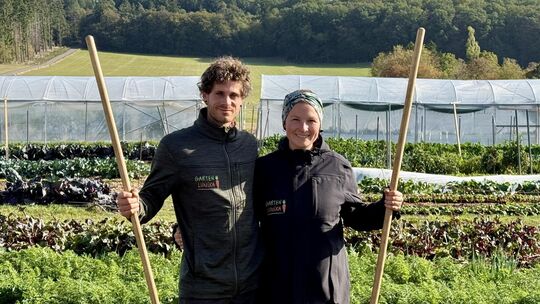 Lukas Ambros und Annika Merly bewirtschaften 1200 Quadratmeter Fläche bei Mittelstrimmig. 43 Gemüsekulturen haben sie in diesem