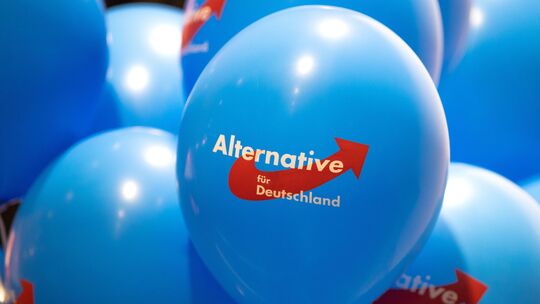 Der Ex-AfD-Landtagsabgeordnete Benjamin Haupt wurde aus der Partei sowie der AfD-Fraktion geworfen, wie vor ein paar Wochen beka