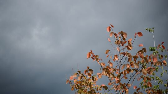 Herbstwetter