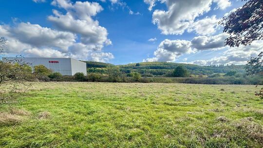 Hier in Kirn-Sulzbach sollen Batteriespeicher gebaut werden, und das passt den Vorbeks gar nicht. Denn ihre Feriengäste würden d