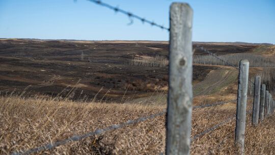 Vier Tote durch Feuer auf Militärbasis in Kanada