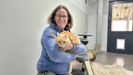 Andrea Opper kümmert sich im Tierheim Ransbach-Baumbach ehrenamtlich um die Katzen und ist auch Pflegestelle. Mauzi ist freundli