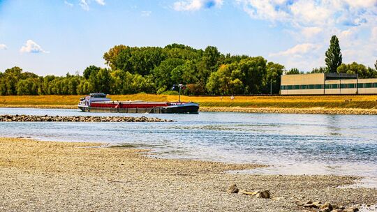 Niedrigwasser am Rhein Niedrigwasser am Rhein