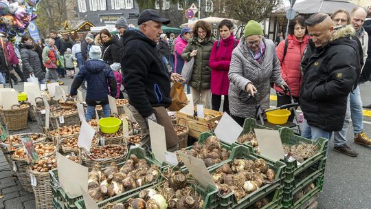 Blumenzwiebeln gehören seit Langem zu den beliebtesten Produkten auf dem Hachenburger Katharinenmarkt (hier ein Archivfoto). Bei