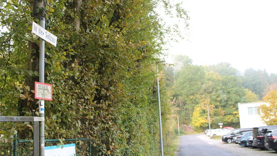 Um die Erschließungsbeiträge für die Straße "Auf der Salzau" und um die Paul-Schneider-Straße ging es kürzlich in Nassau. Dazu h