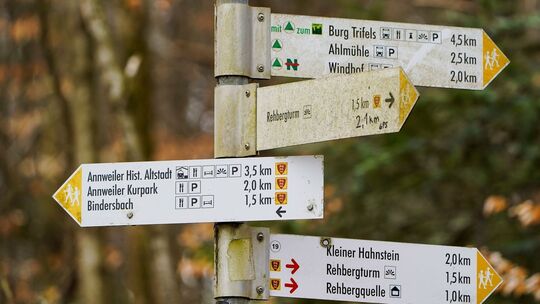 Wanderwege im Pfälzerwald