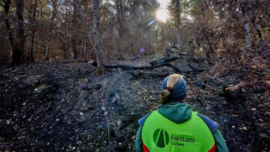 Nach dem Waldbrand im Enderttal