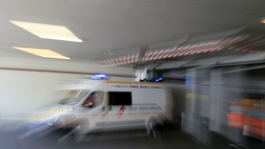 Frankreich meldet ersten Shamonda-Virus-Fall beim Menschen Frankreich meldet ersten Shamonda-Virus-Fall beim Menschen