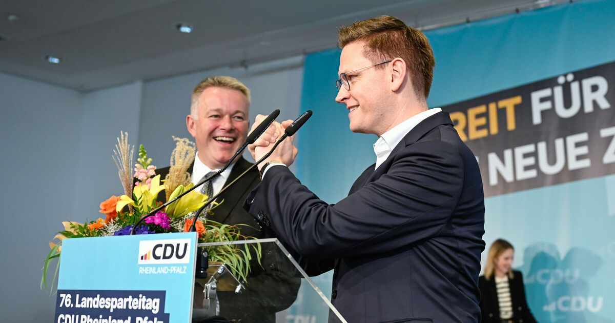 Rhineland-Palatinate CDU elects new executive committee: Schnieder wants ...