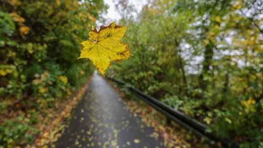 Wetter