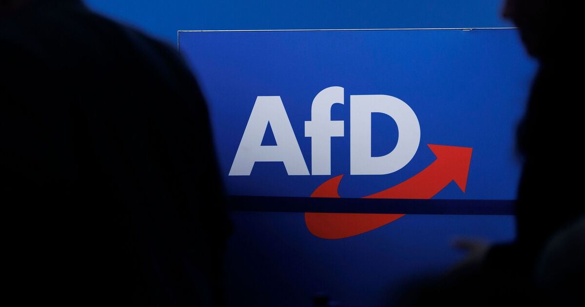 After being expelled from the party: Former AfD lawmaker Haupt sues his ...
