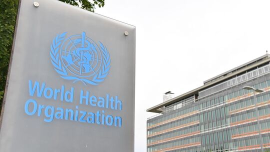 Frankreich meldet ersten Shamonda-Virus-Fall beim Menschen Frankreich meldet ersten Shamonda-Virus-Fall beim Menschen