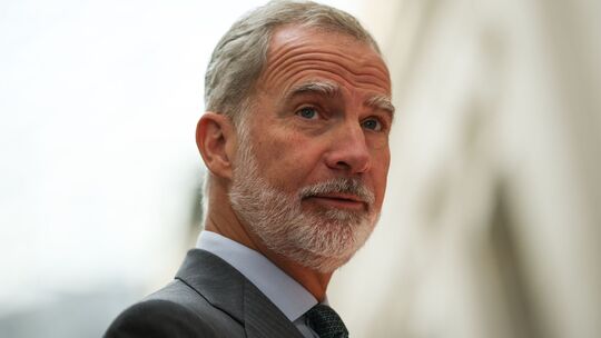 König Felipe VI. König Felipe VI.
