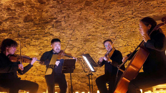 Ein Streichquartett erfreute das Publikum im Schlosskeller mit Hits von Queen und ABBA.