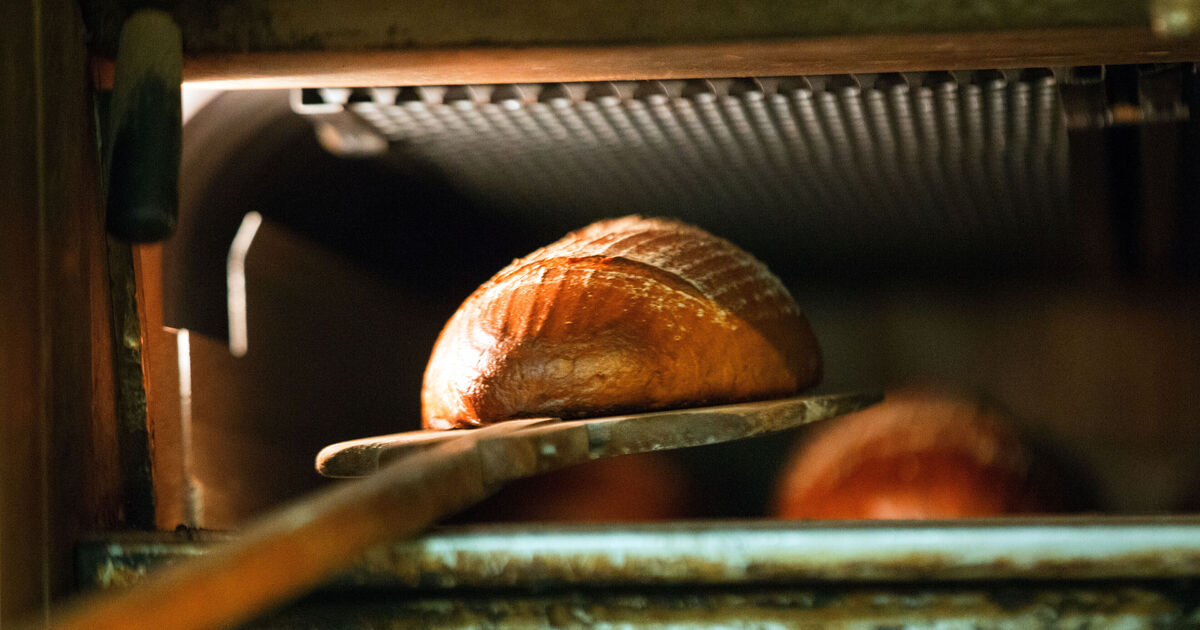 Good Morning, Neuwied District: Do Ovens Work Differently Abroad?