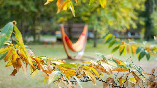 Herbst im Saarland