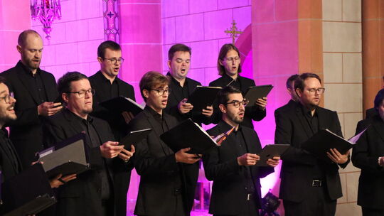 Beim Konzert im Westerwälder Dom in Wirges zelebrierten die Sänger von Vocapella Chorgesang wie von einem anderen Stern.