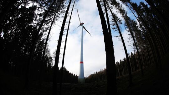 Am Dachsbergsee in Bad Honnef sollen Windräder gebaut werden. Die Pläne sorgen in der Nachbargemeinde Windhagen für Unmut. (Symb