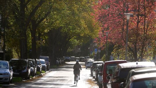 Herbstwetter in Rheinland-Pfalz