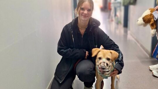 Bei Lina Drommershausen hat Elli ihr neues Zuhause.
