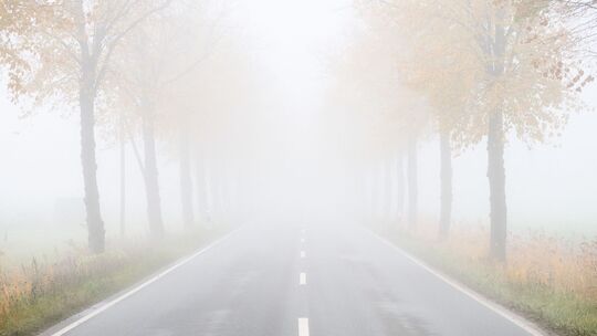 Nebel in Niedersachsen Nebel in Niedersachsen