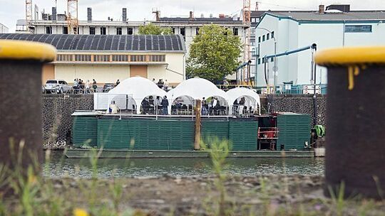 schiff
