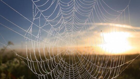Altweibersommer