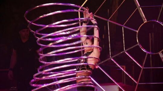 Circus Carl Busch gastiert auf dem Messegelände