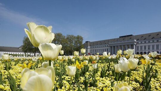 Bundesgartenschau 2011 in Koblenz
